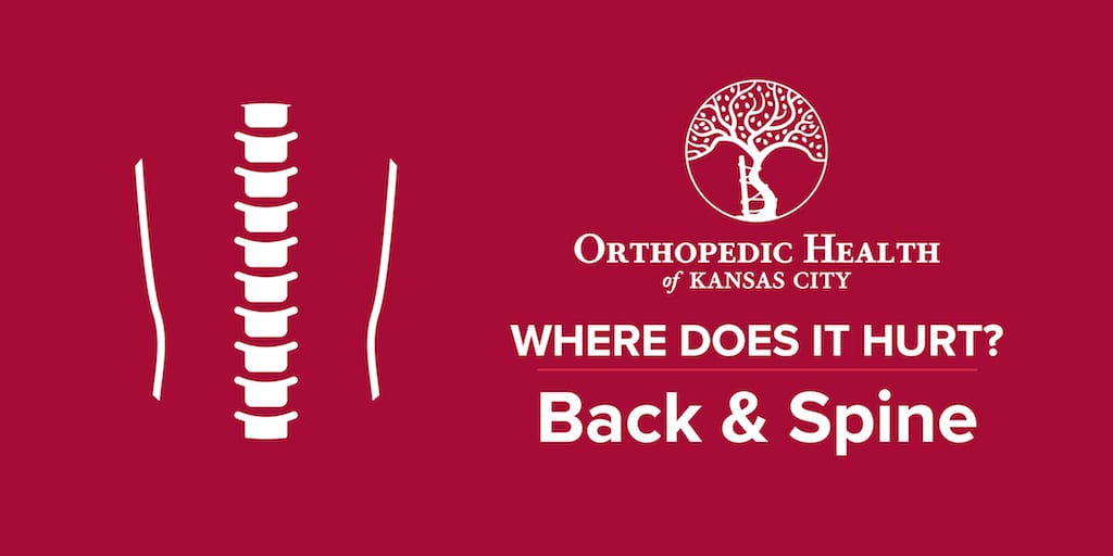 Where's Your Pain: Hip  Kansas Spine & Specialty Hospital
